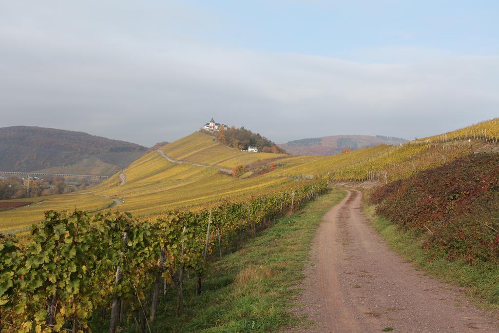Weingut Pension Gibbert-Pohl Бридель Экстерьер фото