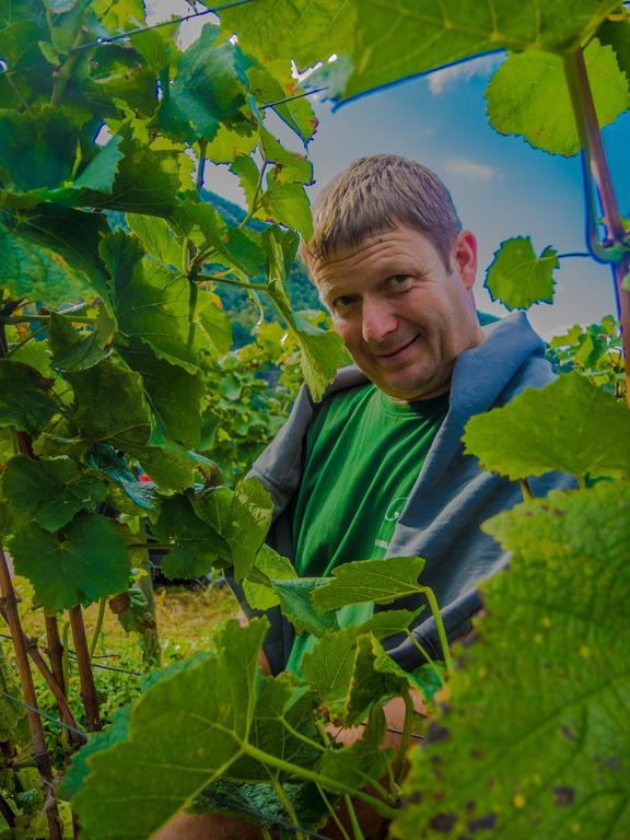 Weingut Pension Gibbert-Pohl Бридель Экстерьер фото