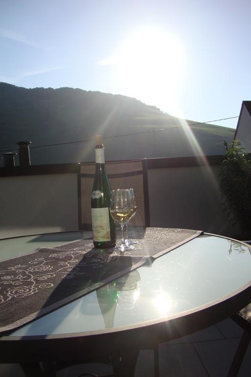 Weingut Pension Gibbert-Pohl Бридель Экстерьер фото