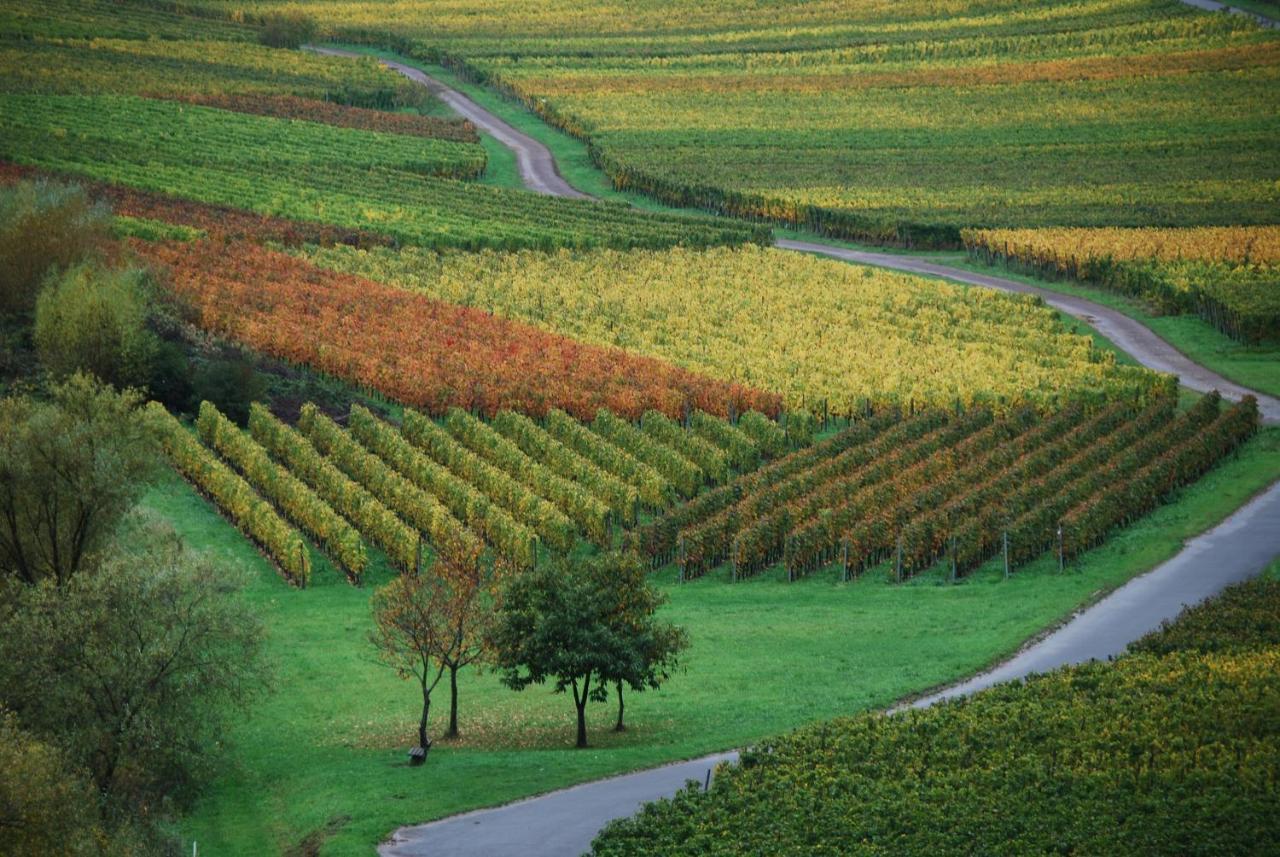 Weingut Pension Gibbert-Pohl Бридель Экстерьер фото