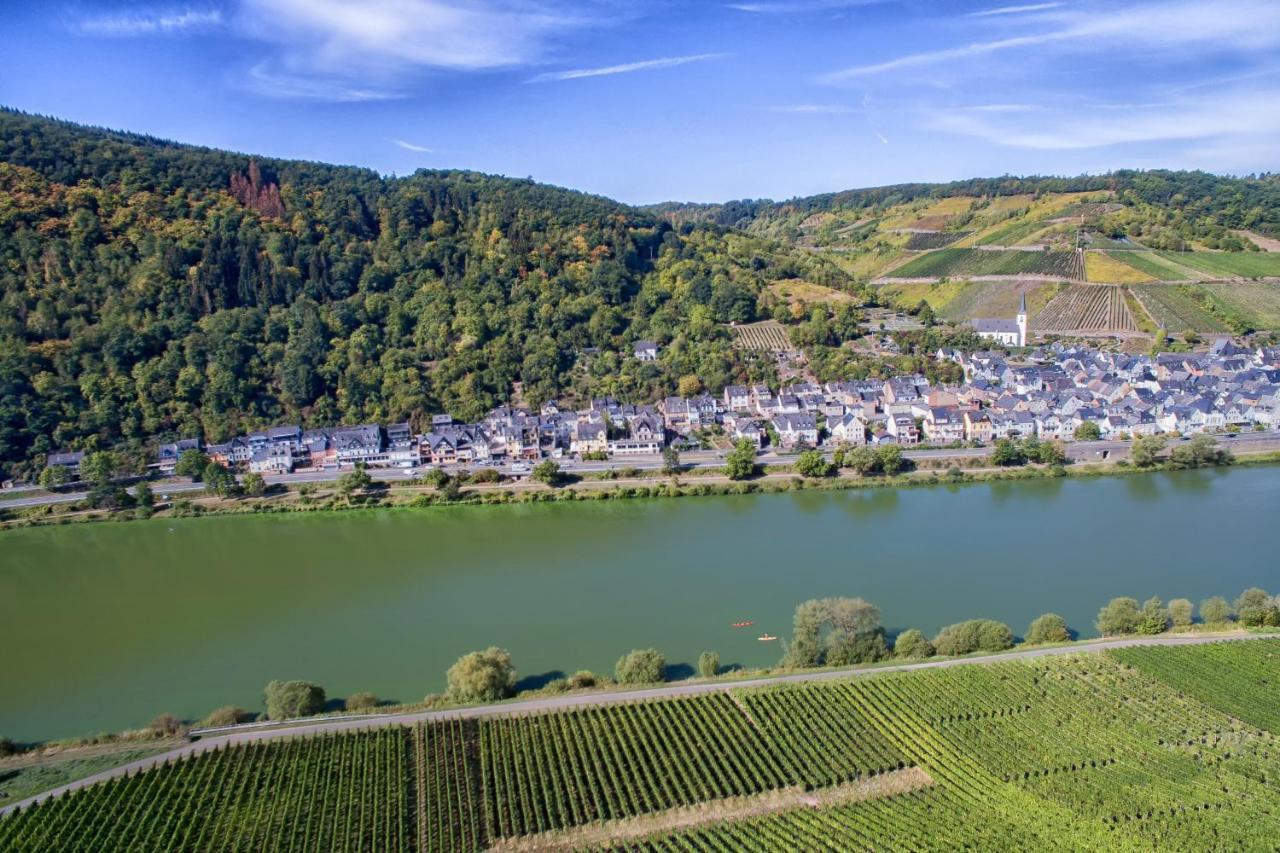 Weingut Pension Gibbert-Pohl Бридель Экстерьер фото